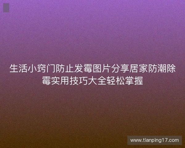 生活小窍门防止发霉图片分享居家防潮除霉实用技巧大全轻松掌握